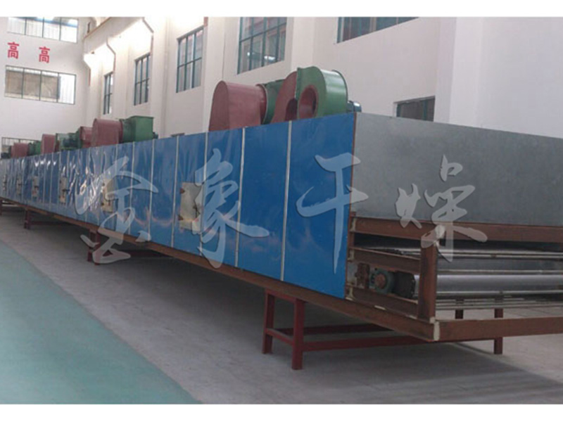 DW single layer belt dryer